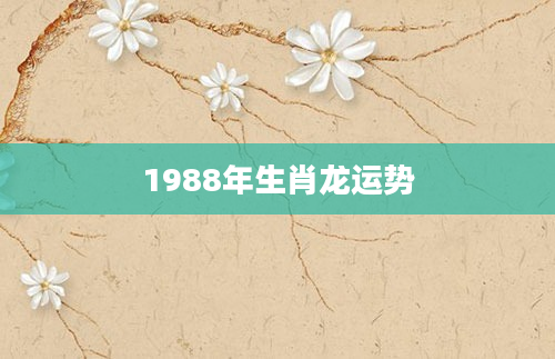 1988年生肖龙运势