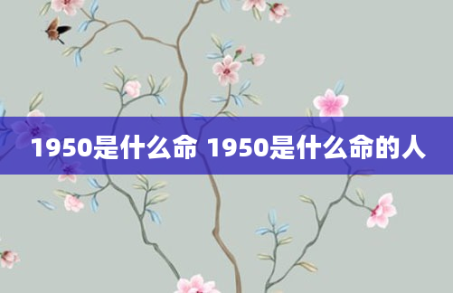 1950是什么命 1950是什么命的人