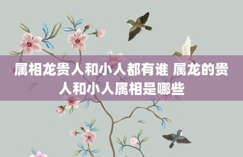 属相龙贵人和小人都有谁 属龙的贵人和小人属相是哪些