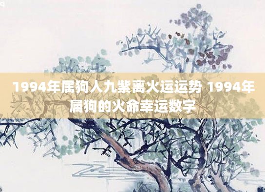 1994年属狗人九紫离火运运势 1994年属狗的火命幸运数字