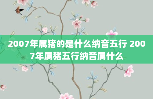 2007年属猪的是什么纳音五行 2007年属猪五行纳音属什么