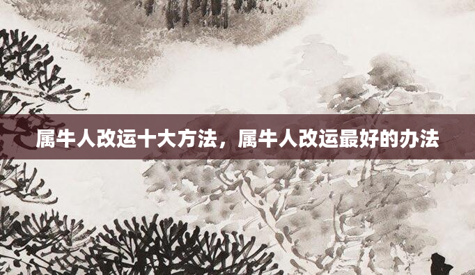 属牛人改运十大方法，属牛人改运最好的办法