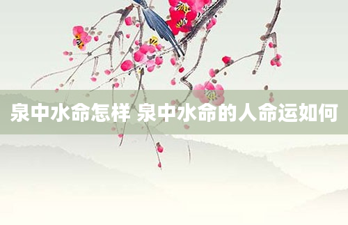 泉中水命怎样 泉中水命的人命运如何