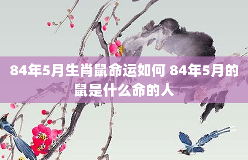 84年5月生肖鼠命运如何 84年5月的鼠是什么命的人