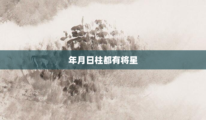 年月日柱都有将星