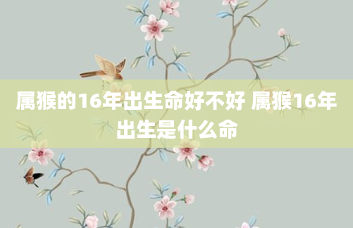 属猴的16年出生命好不好 属猴16年出生是什么命