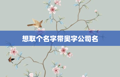 想取个名字带奥字公司名