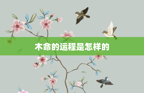 木命的运程是怎样的