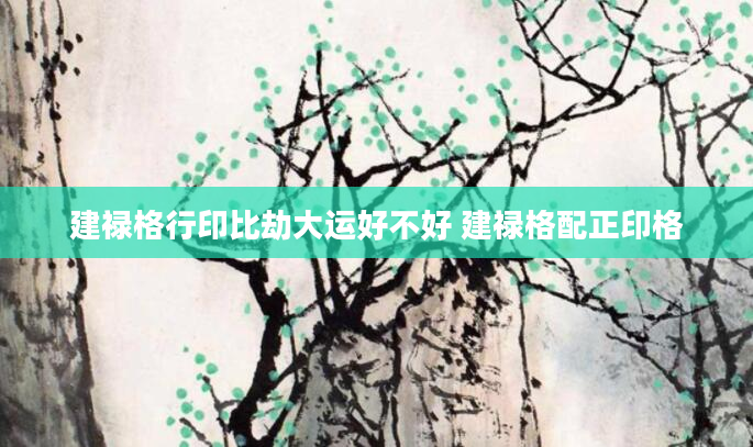 建禄格行印比劫大运好不好 建禄格配正印格