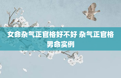 女命杂气正官格好不好 杂气正官格男命实例