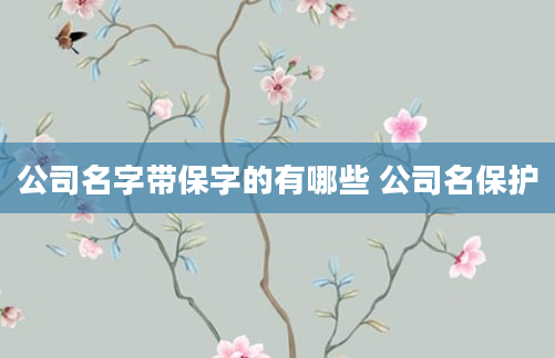 公司名字带保字的有哪些 公司名保护