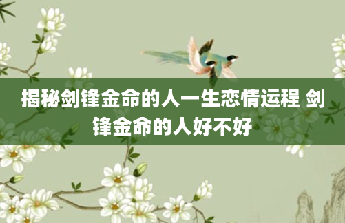 揭秘剑锋金命的人一生恋情运程 剑锋金命的人好不好