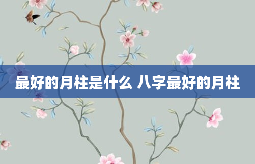 最好的月柱是什么 八字最好的月柱