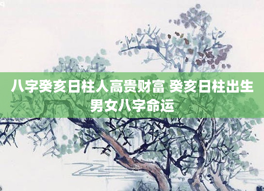 八字癸亥日柱人高贵财富 癸亥日柱出生男女八字命运