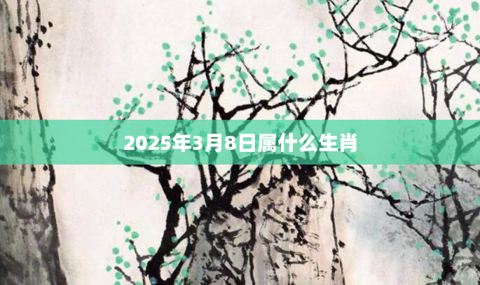 2025年3月8日属什么生肖