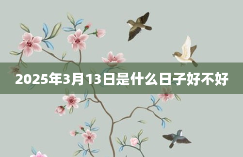 2025年3月13日是什么日子好不好