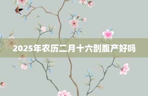 2025年农历二月十六剖腹产好吗