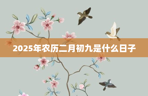2025年农历二月初九是什么日子