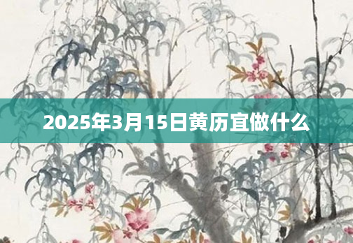 2025年3月15日黄历宜做什么