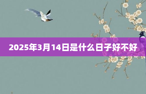 2025年3月14日是什么日子好不好