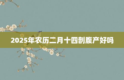 2025年农历二月十四剖腹产好吗