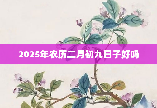 2025年农历二月初九日子好吗