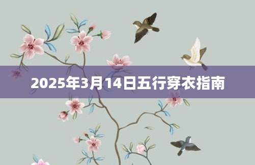 2025年3月14日五行穿衣指南