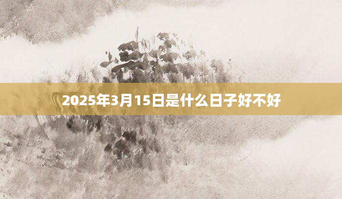 2025年3月15日是什么日子好不好
