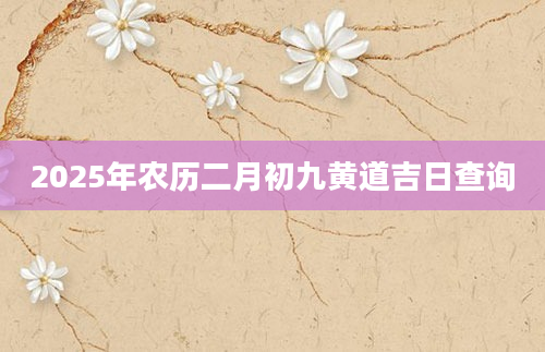 2025年农历二月初九黄道吉日查询