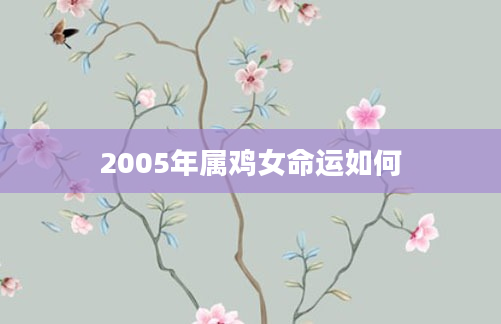 2005年属鸡女命运如何
