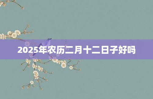 2025年农历二月十二日子好吗