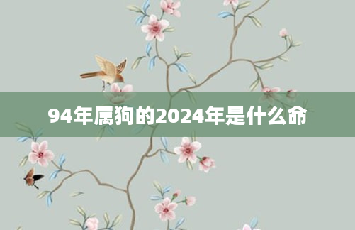 94年属狗的2024年是什么命