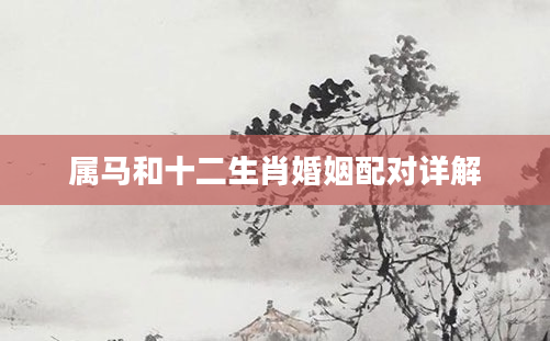 属马和十二生肖婚姻配对详解