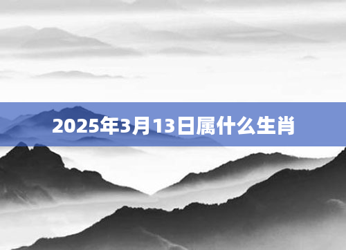 2025年3月13日属什么生肖