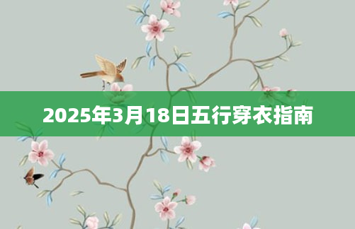 2025年3月18日五行穿衣指南