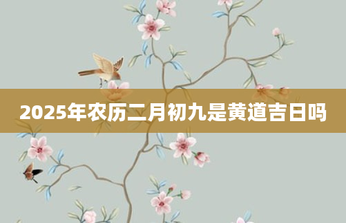 2025年农历二月初九是黄道吉日吗