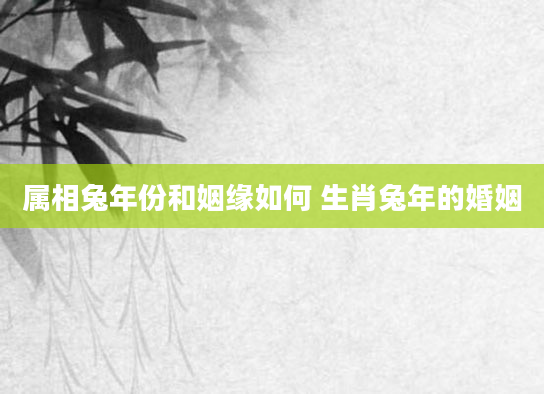 属相兔年份和姻缘如何 生肖兔年的婚姻