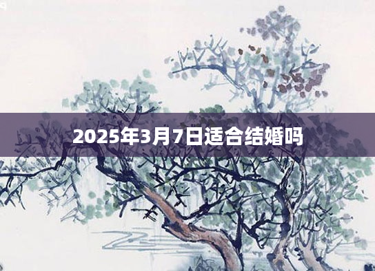 2025年3月7日适合结婚吗