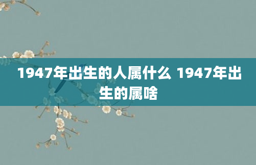 1947年出生的人属什么 1947年出生的属啥