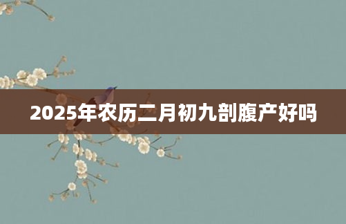 2025年农历二月初九剖腹产好吗