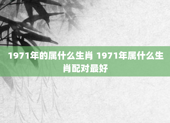 1971年的属什么生肖 1971年属什么生肖配对最好