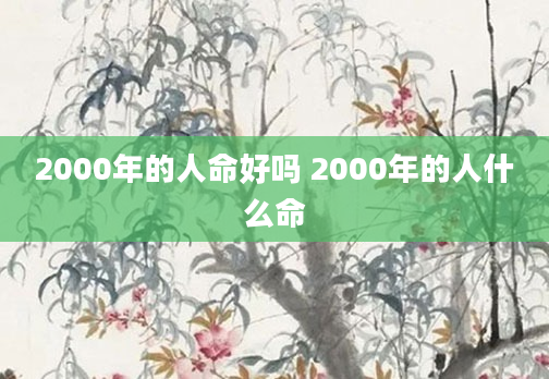 2000年的人命好吗 2000年的人什么命