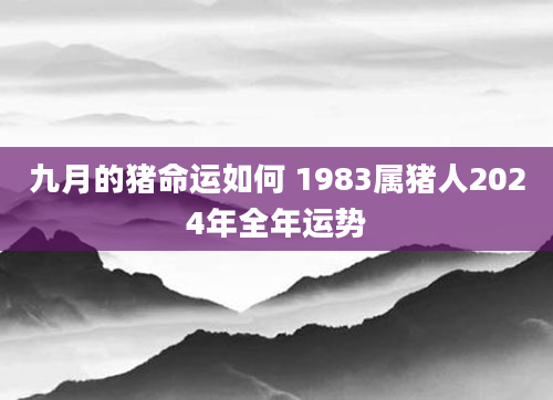 九月的猪命运如何 1983属猪人2024年全年运势