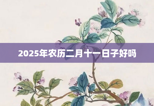 2025年农历二月十一日子好吗