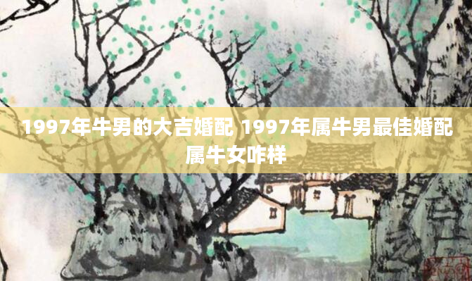 1997年牛男的大吉婚配 1997年属牛男最佳婚配属牛女咋样