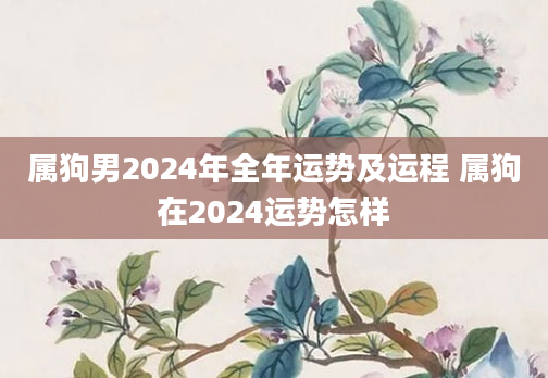 属狗男2024年全年运势及运程 属狗在2024运势怎样