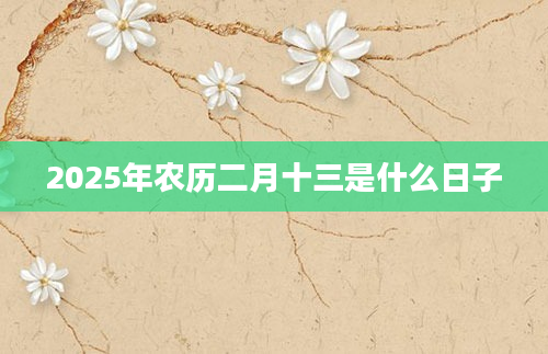 2025年农历二月十三是什么日子