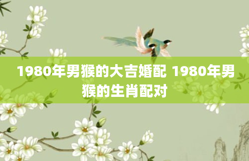 1980年男猴的大吉婚配 1980年男猴的生肖配对