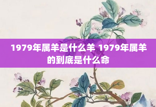 1979年属羊是什么羊 1979年属羊的到底是什么命