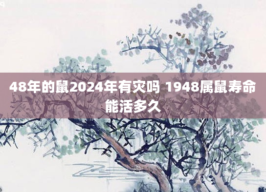 48年的鼠2024年有灾吗 1948属鼠寿命能活多久